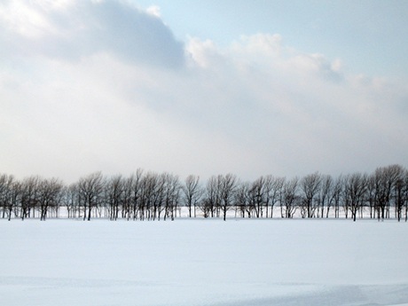 江別市の冬景色
