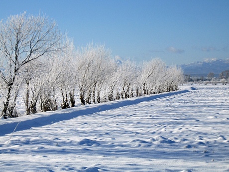 長沼町の冬景色